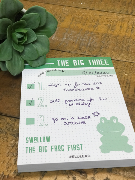 Swallow the Big Frog First Notepad
