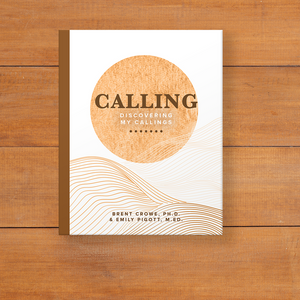 Course Seven: Calling - Discovering My Callings